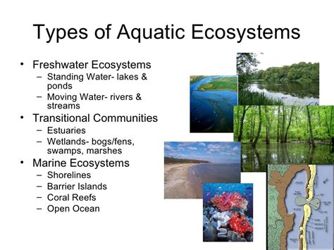 Aquatic ecosystems