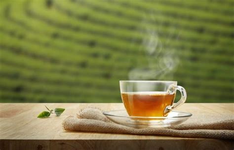 Top 10 Best Organic Tea Brands of 2022 — Loyal Organic