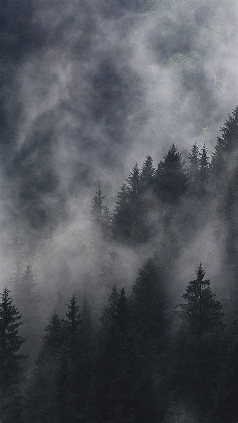 Foggy forest, fog, dark, HD phone wallpaper | Peakpx