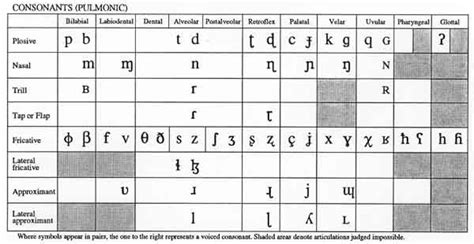 Ipa Consonant Chart | SexiezPix Web Porn