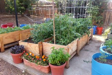 Gardening in Small Spaces - Container Gardening - One Hundred Dollars a ...