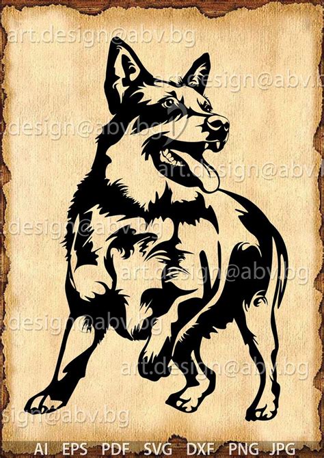 Vector DOG Blue Heeler AI Png Pdf Eps Svg Dxf Jpg - Etsy | Blue heeler ...