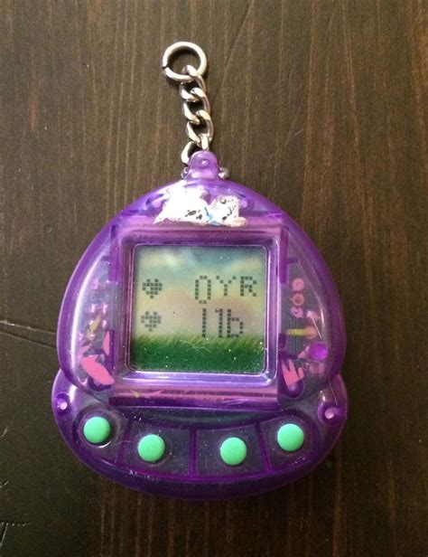 Giga Pets Digital Doggie Virtual Pet by Tiger Toys Keychain GigaPet ...