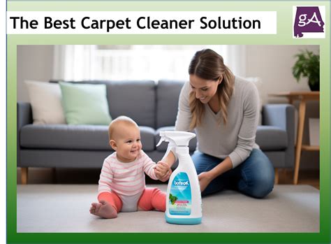 Explore The Best Carpet Cleaner Solution - Geek Alabama