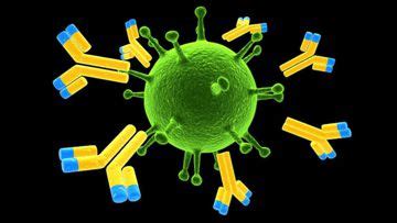 Immunodeficiencies : Immunoglobulin Replacement Therapy ...