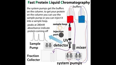 Meet the AKTA! (and don't be intimidated by it) - Fast Protein Liquid ...