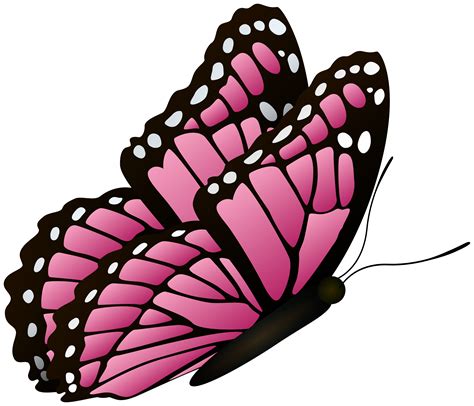 Pink Flying Butterfly Clipart