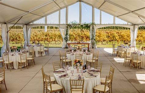 Bella Terra Vineyards Wedding Package - Vintage Hotels