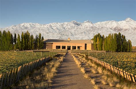 Wine Trails: Four Mendoza wineries to visit - Decanter