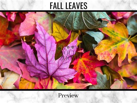 Fall Leaves Zoom Background 4 Virtual Backgrounds for Video - Etsy