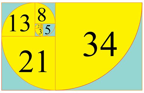 Fibonacci Numbers-Definition & Examples