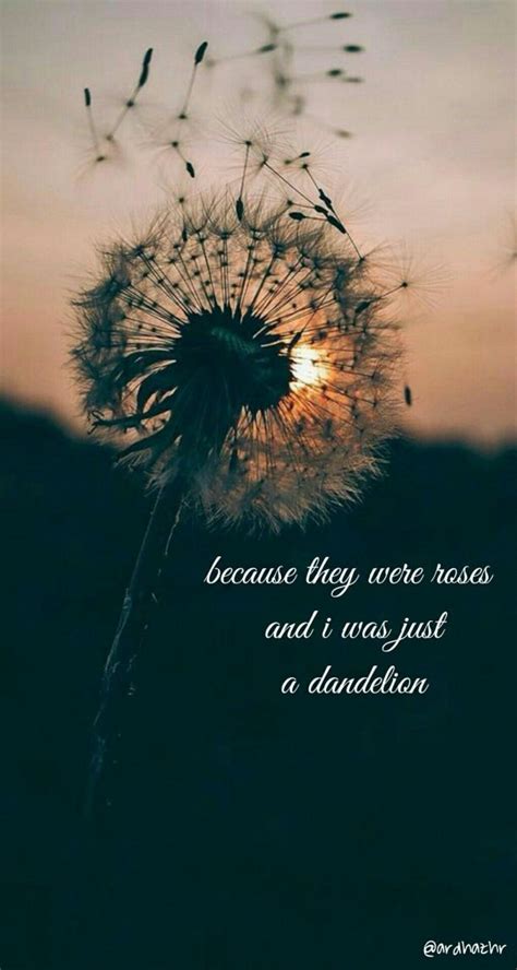 #dandelion #quotes #aesthetic #wallpaper #dandelionquotes #musicquotes ...