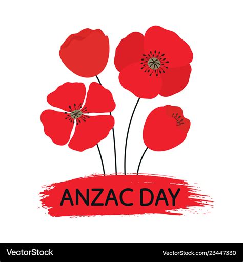 Anzac day bouquet of poppy flowers Royalty Free Vector Image