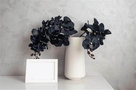 Meaning Of The Black Orchid Flower | Best Flower Site