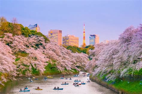 Where to Stay in Tokyo – Neighborhoods & Area Guide - The Crazy Tourist