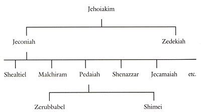 Is there a Bible contradiction in 1 Chronicles 3:19?