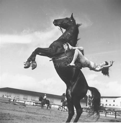 Loomis Dean Photography Vintage Editorial Stock Photos RINGLING CIRCUS ...