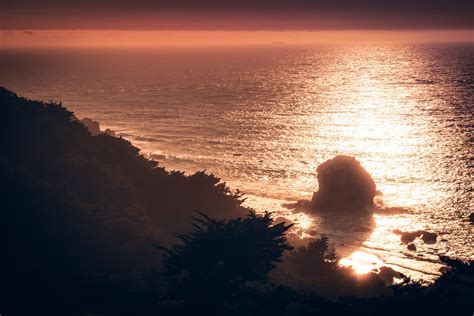 Pacific Sunset | The late-evening sun silhouettes the rocky tree ...