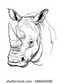 White Rhino Sketch Vector Illustration Hand Stock Vector (Royalty Free ...