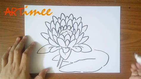 How To Draw A Lily Pad Flower Easy : 960x720 how to draw an easy flower ...