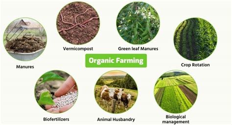 What are benefits of organic farming? 🌾