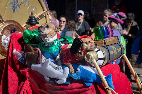 Photos: Krewe Of Barkus 2019 – Via Nola Vie