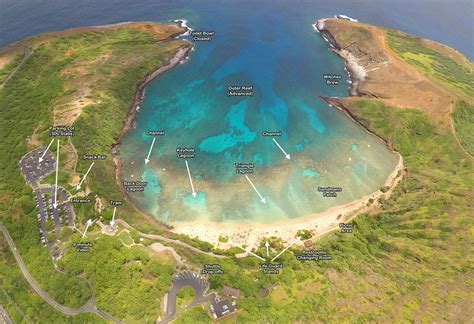 Hanauma Bay Reef Map - Hanauma Bay State Park