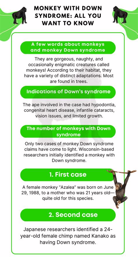 Monkeys with Down Syndrome: Unique Cases and Characteristics