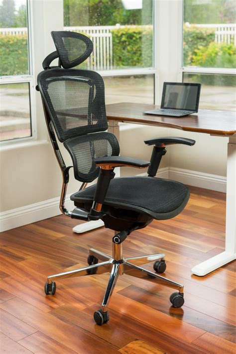 Ultimate Lumbar Support Mesh Chair - ErgoMax Office-