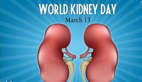 Best 50 World kidney Day Quotes With Images - Quotes Yard | Image ...