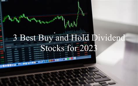 3 Best Buy and Hold Dividend Stocks for 2023 - Dividend Power