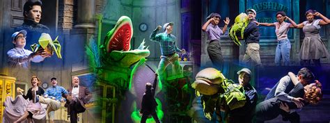 7 Reasons to Love Little Shop of Horrors | Broadway Direct