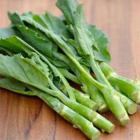 Jual Pre Order - Organic Kai Lan Chinese Broccoli - Kai Lan Organik ...