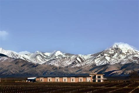 Mendoza, Argentina | 7 Best Wine Travel Experiences of 2020 | 7 Best ...