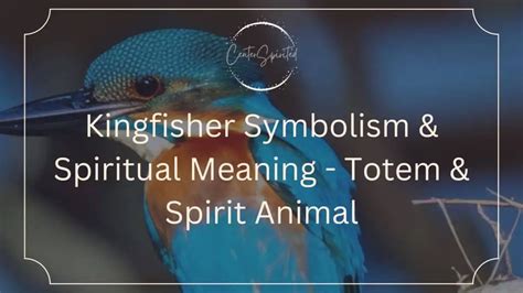 Kingfisher Symbolism & Spiritual Meaning - Totem & Spirit Animal