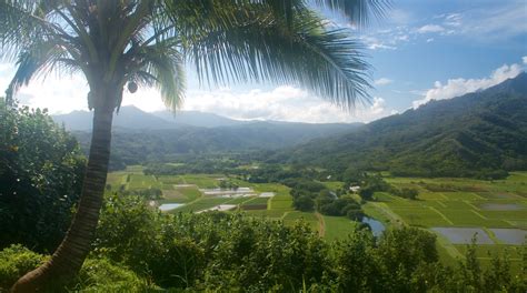 Hanalei Valley Lookout in Princeville | Expedia