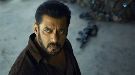 Agency News | Tiger 3: Salman Khan Shares Update About Action Scenes in ...