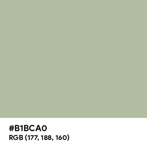 Sage Green Color Hex, RGB, CMYK, Pantone Color Codes Brand, 48% OFF