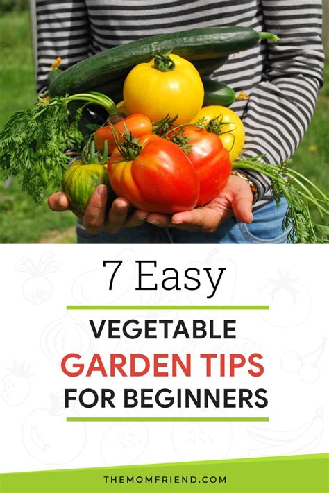 7 Easy Vegetable Garden Tips for Beginners | The Mom Friend