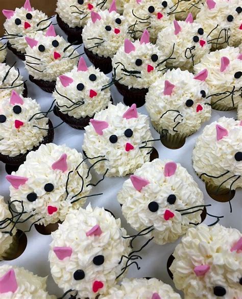 Cat cupcakes | Cat cupcakes, Cat cake, Cupcake cakes