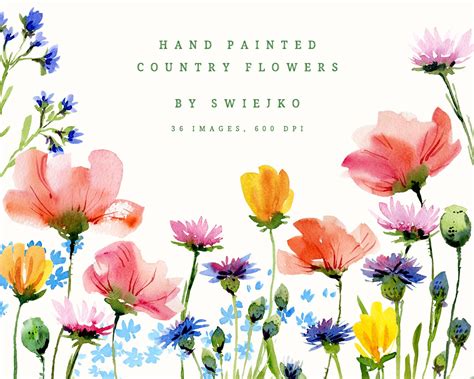 Hand painted country flowers | Illustrations ~ Creative Market