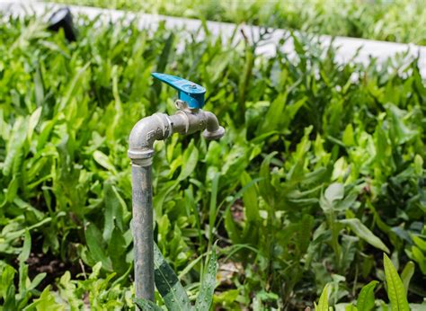 Here’s How To Winterize Outdoor Faucet Without Shut Off Valve | Plants ...