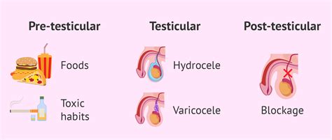 Causes of oligospermia