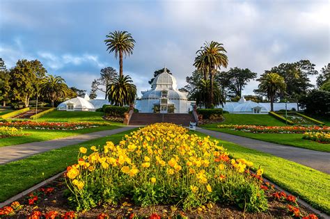 San Francisco Botanical Garden - Discover a World of Natural Beauty and ...