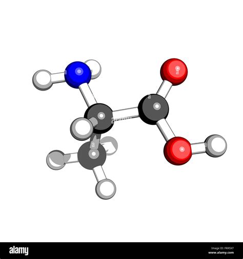 Amino acid alanine molecular structure on a white background Stock ...