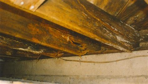 How to fix and repair floor joist rot | Attic remodel, Attic lighting ...