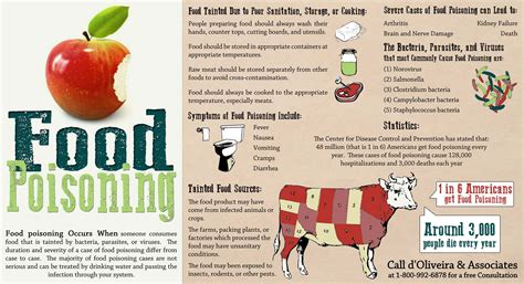 Food Poisoning Facts and Symptoms Infographic