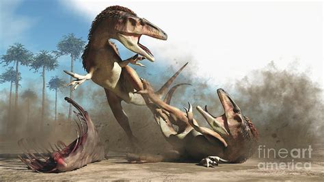 Australovenator Dinosaurs Fighting Photograph by James Kuether/science ...