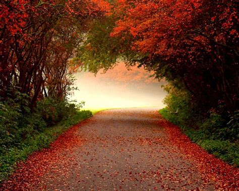 Free Autumn Desktop Wallpaper Backgrounds - Wallpaper Cave