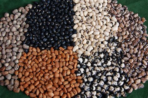 Cowpeas: An Underrated Southern Staple – Recette Magazine